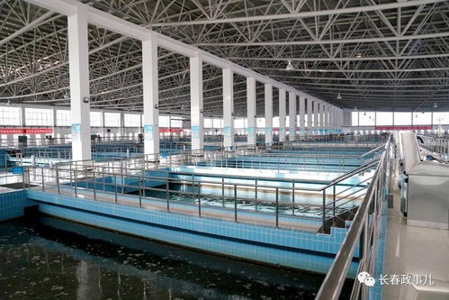 王凱在第一凈水廠檢查指導全市供水工作時要求 強化極限思維,提升能力建設,切實保障群眾用水和都市圈發(fā)